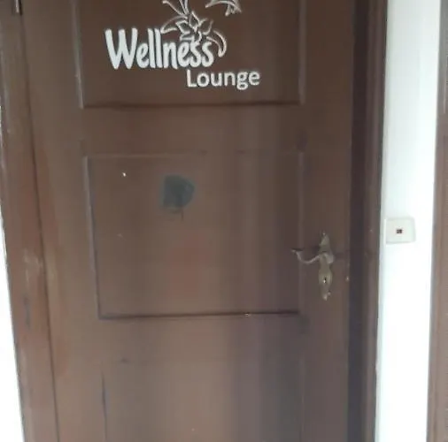 Ferienwohnungausblick 公寓 康斯坦茨